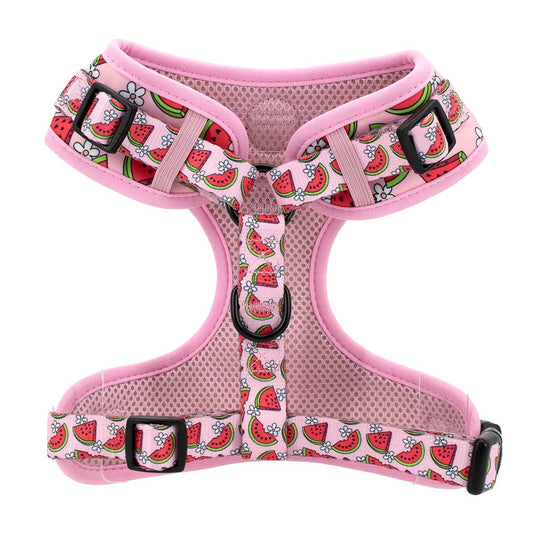 Watermelon Harness - WAGGED.