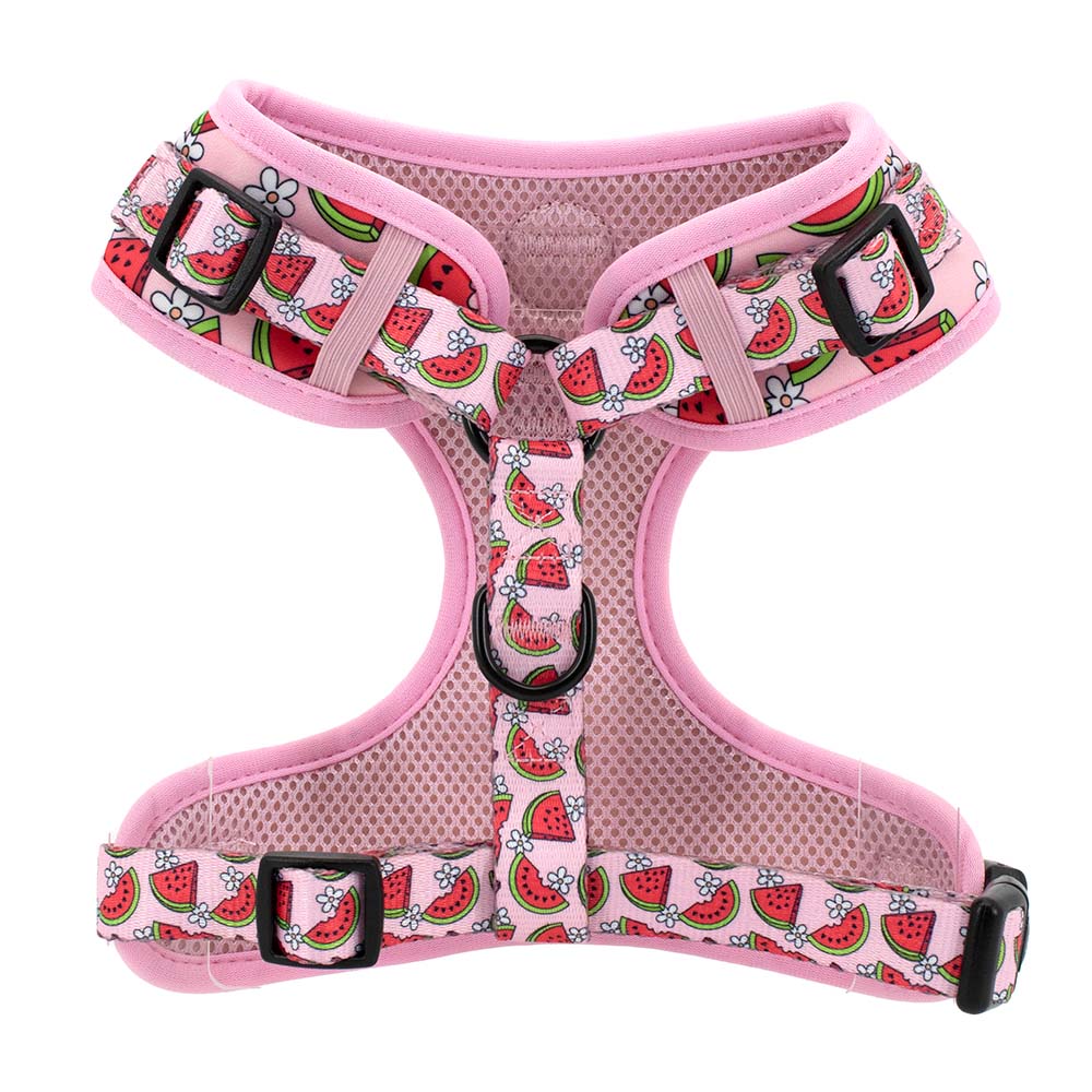 Watermelon Harness - WAGGED.