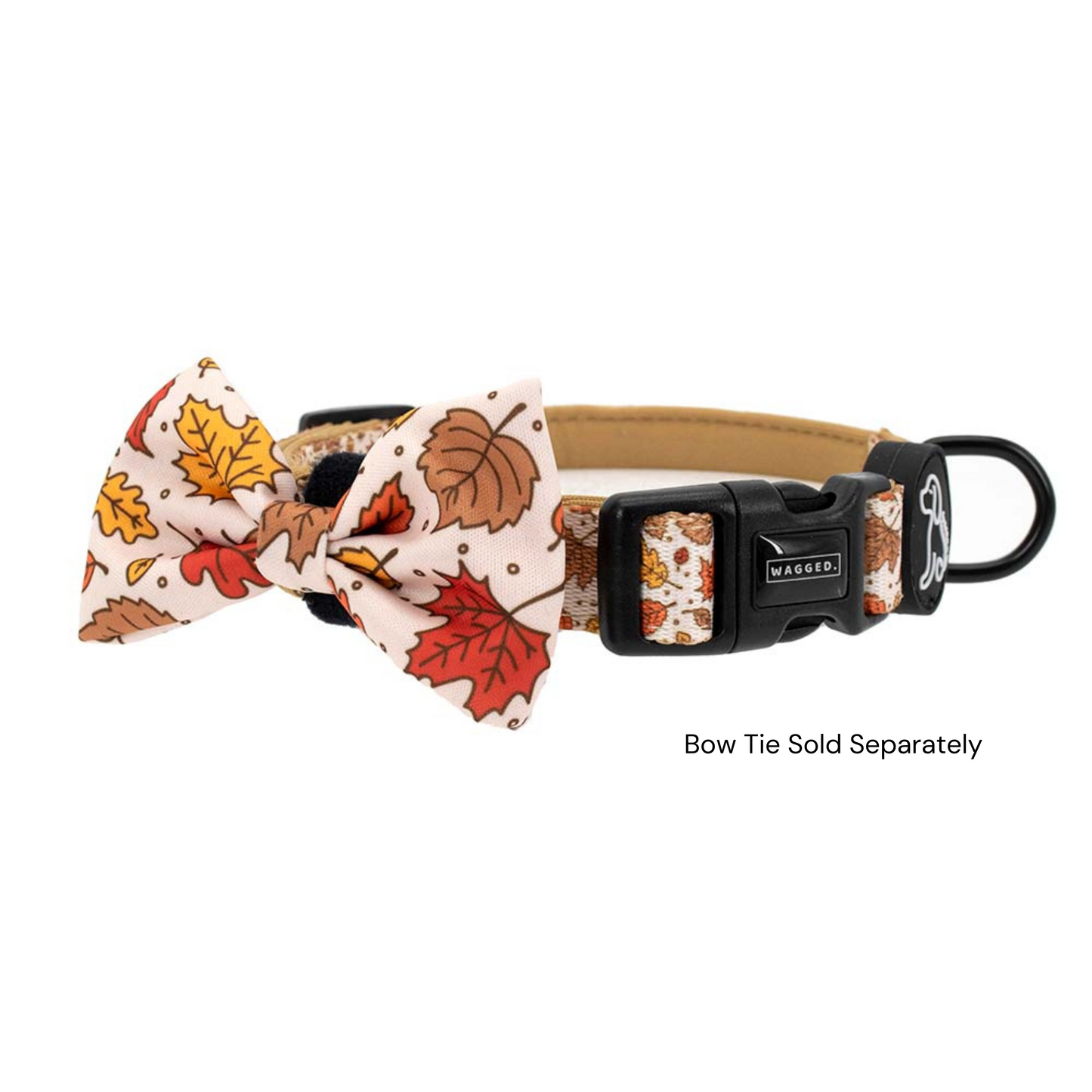 Leafy Collar - WAGGED.