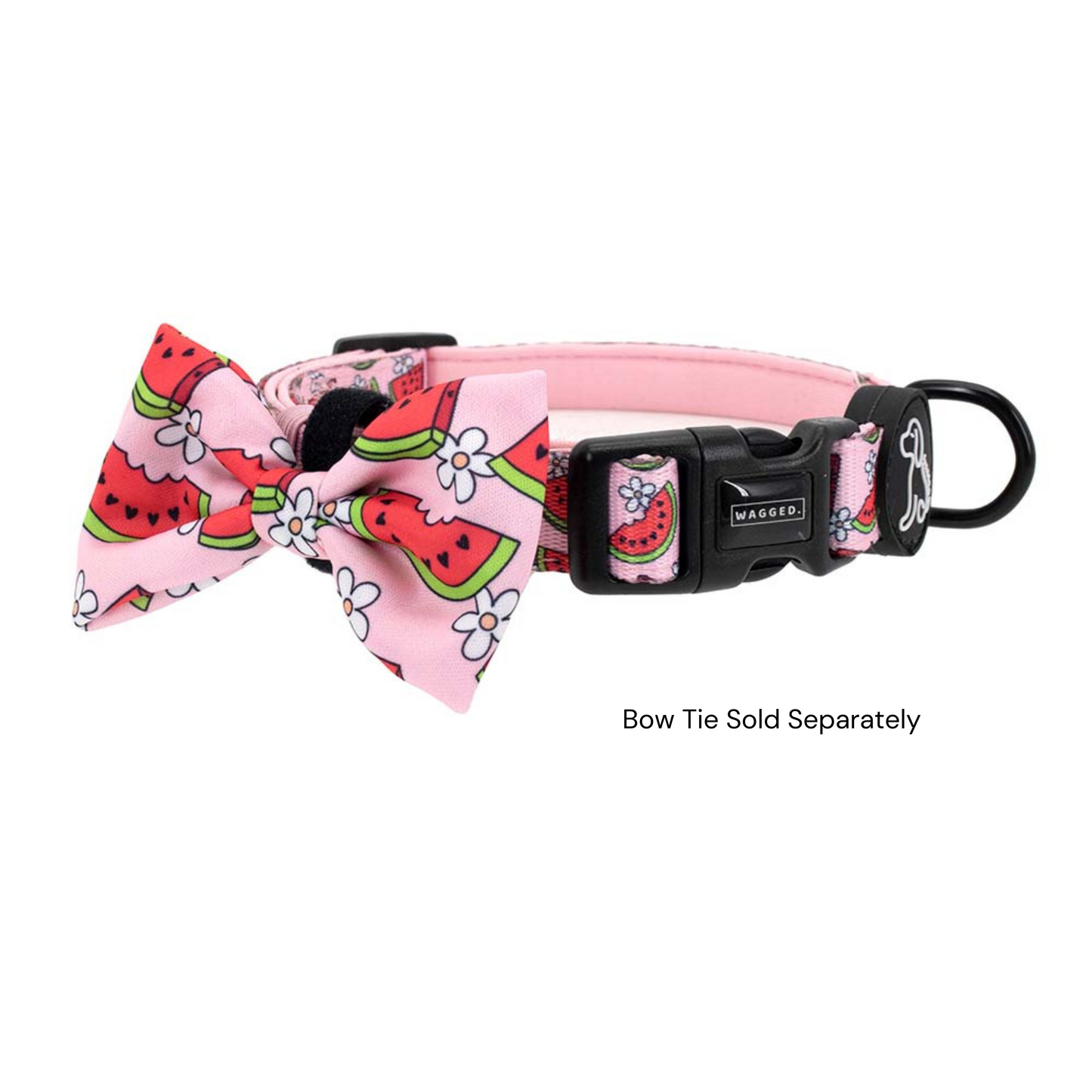 Watermelon Collar - WAGGED.
