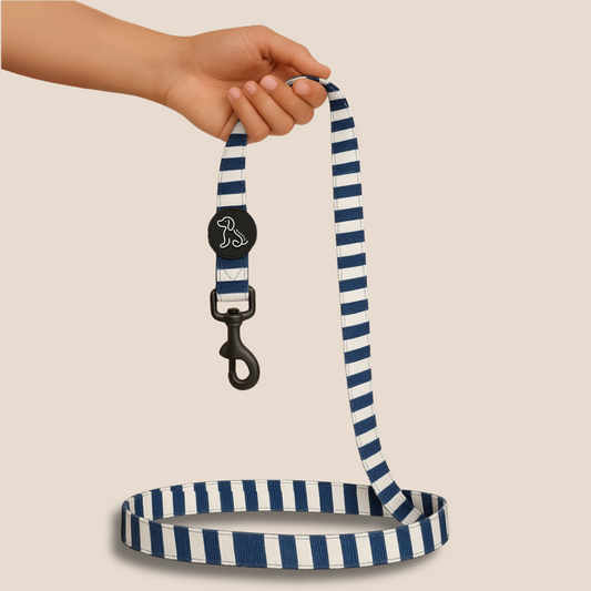 Nautical Leash