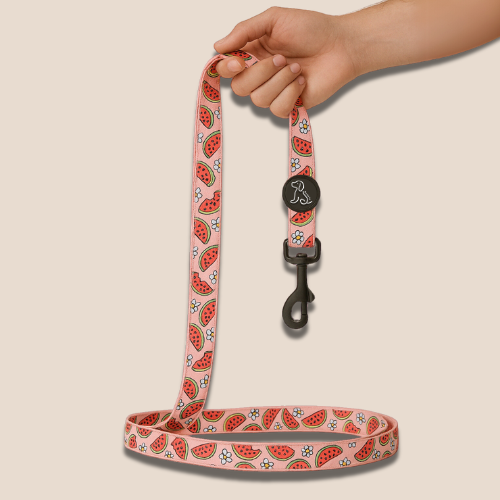 Watermelon Leash