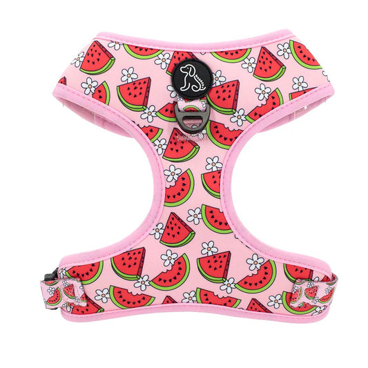 Wagged Watermelon Dog Harness – Adjustable, Comfortable with Pink, Red & Green Watermelon & Daisy Pattern | Ideal for Small to Medium Dogs for Walks & Outdoor Fun