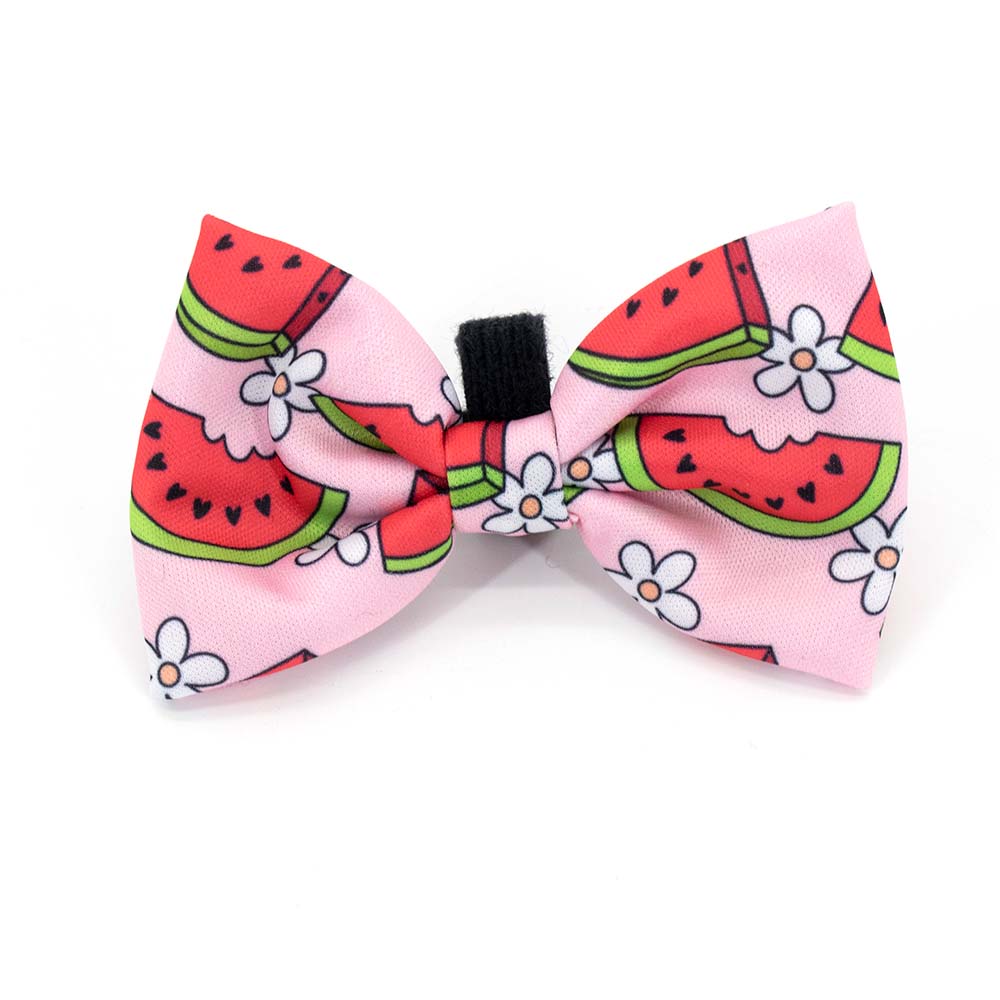 Wagged watermelon pet bow tie with floral daisies and vibrant pink, red, and green colours for dogs and cats. Cute summer accessory for pets, perfect for special occasions or everyday wear.