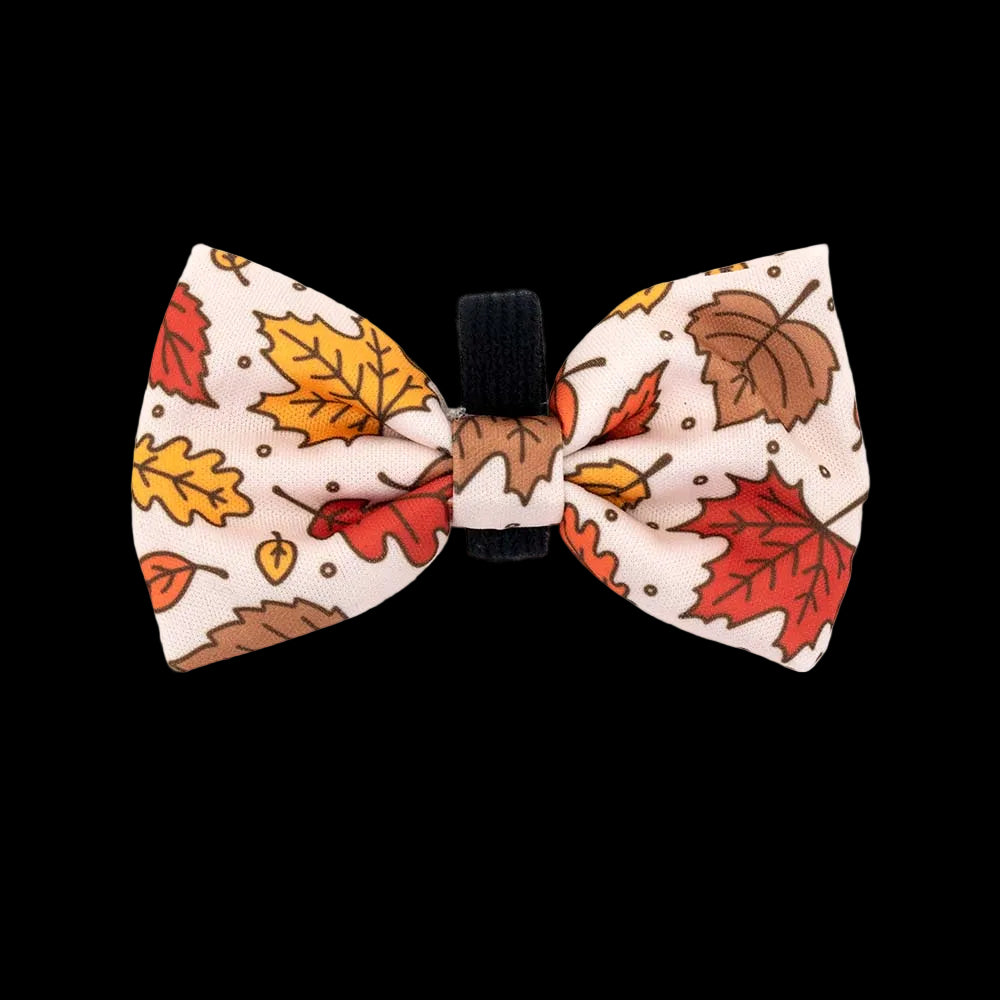 Leafy Harness Bundle - WAGGED.