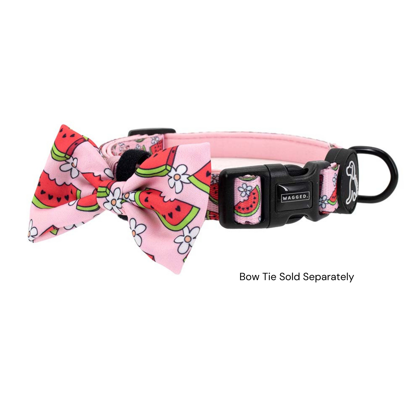 Watermelon Collar