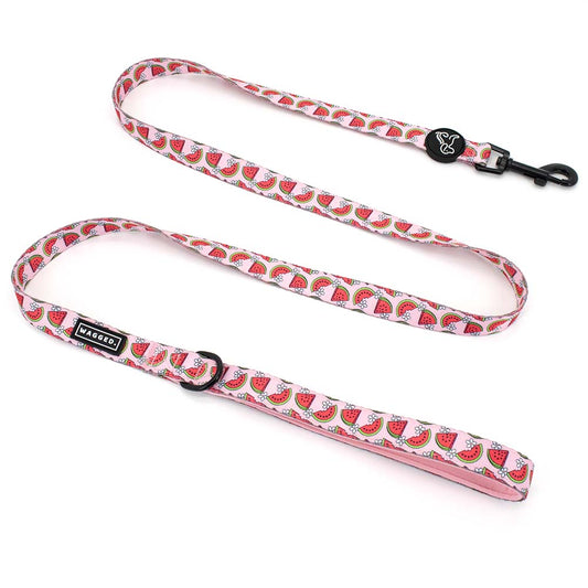 Watermelon Leash