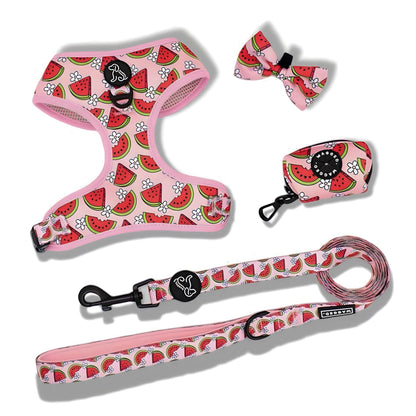 Watermelon Harness Bundle