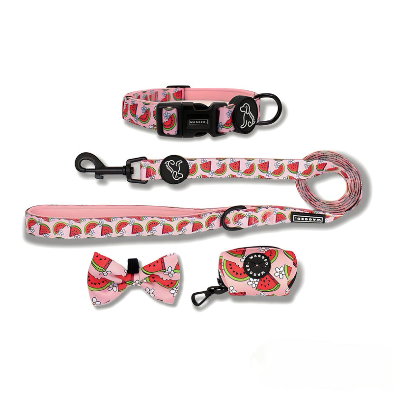 Watermelon Collar Bundle - WAGGED.